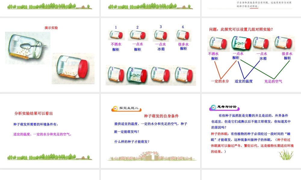 安徽省长丰县下塘实验中学七年级生物上册《3.2.1 种子的萌发》课件 （新版）新人教版