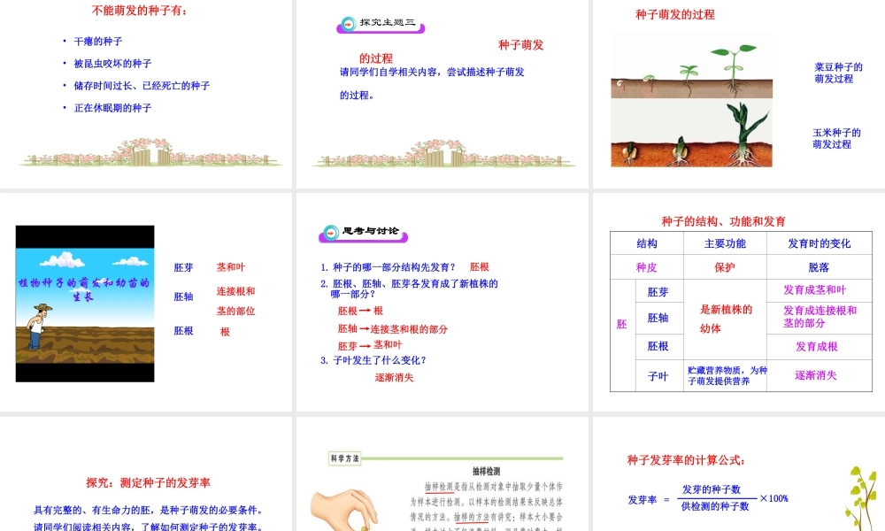 安徽省长丰县下塘实验中学七年级生物上册《3.2.1 种子的萌发》课件 （新版）新人教版