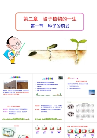 安徽省长丰县下塘实验中学七年级生物上册《3.2.1 种子的萌发》课件 （新版）新人教版