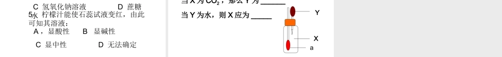 安徽省宿州市萧县刘套中学九年级化学下册《第七章 酸、碱、盐》复习课件 新人教版