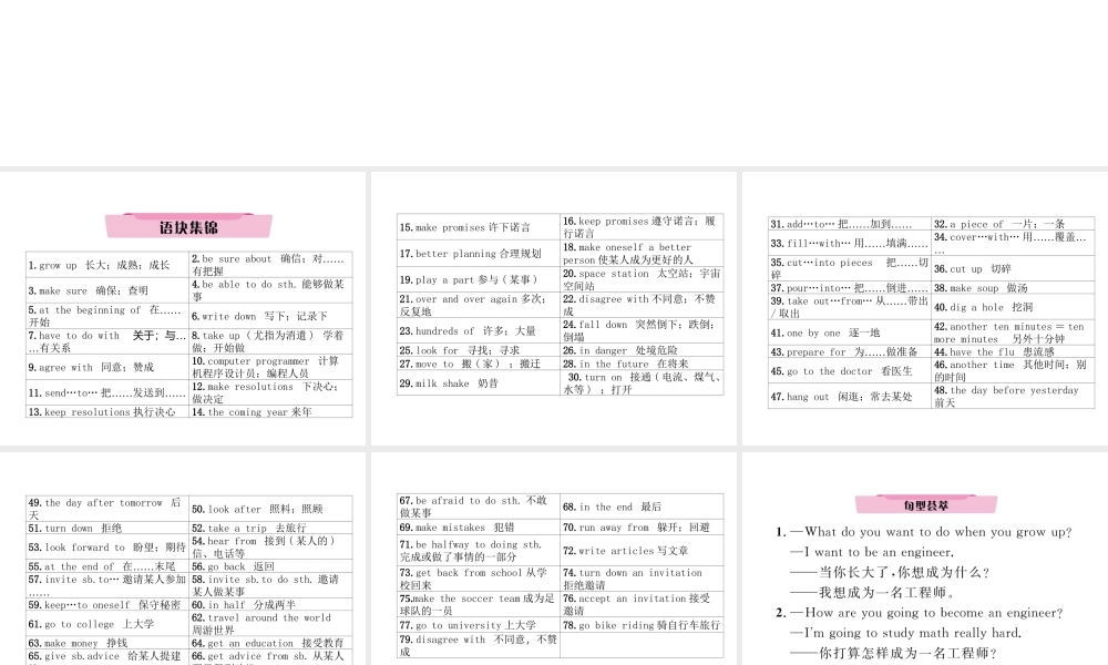 （云南专版）中考英语特训复习 第1编 教材知识梳理篇 八上 Units 6-10课件-人教版初中九年级全册英语课件