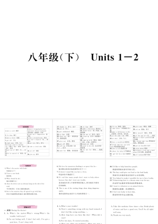 （云南专版）中考英语特训复习 第1编 教材知识梳理篇 八下 Units 1-2课件-人教版初中九年级全册英语课件
