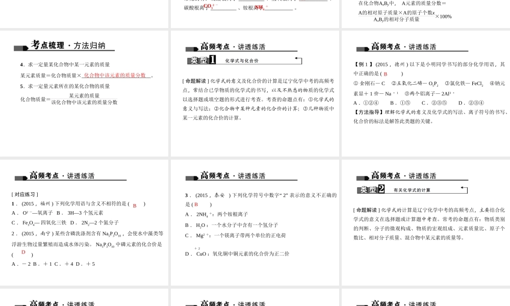 （全国版）中考化学 考点聚焦 第8讲 化学式与化合价课件-人教版初中九年级全册化学课件