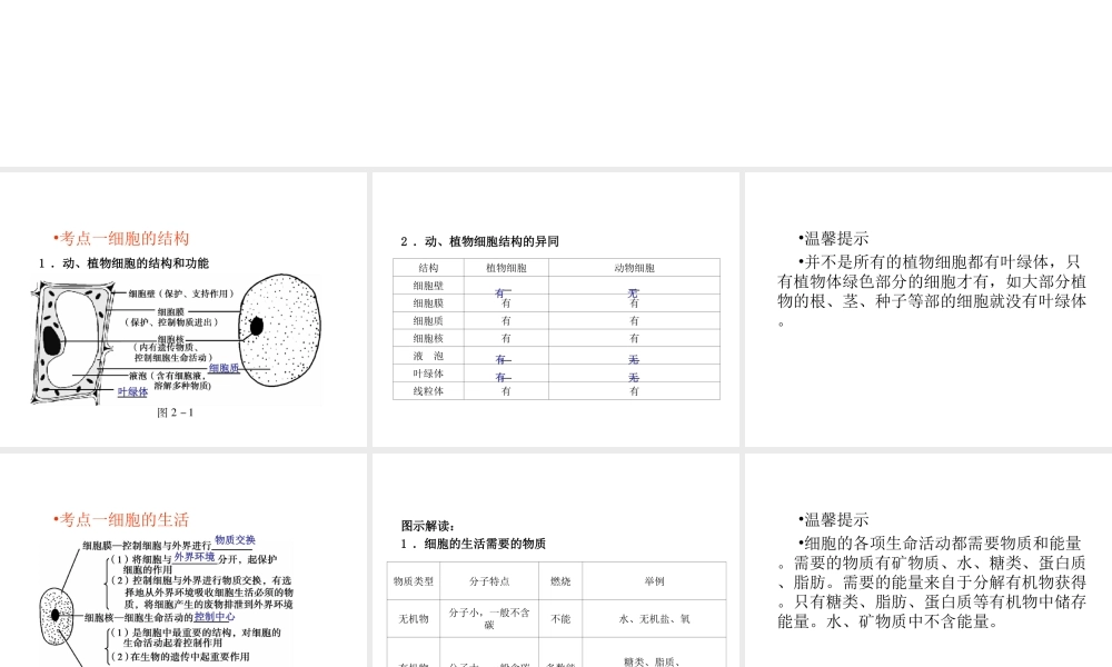 （回归基础） 2013届中考生物 考前查漏补缺《主题二 生物体的结构层次》（考前考点梳理）课件 新人教版