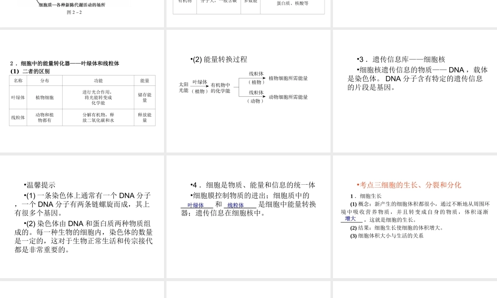 （回归基础） 2013届中考生物 考前查漏补缺《主题二 生物体的结构层次》（考前考点梳理）课件 新人教版