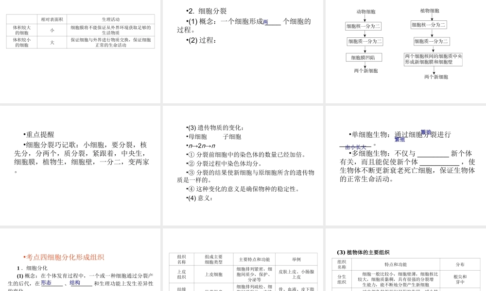 （回归基础） 2013届中考生物 考前查漏补缺《主题二 生物体的结构层次》（考前考点梳理）课件 新人教版