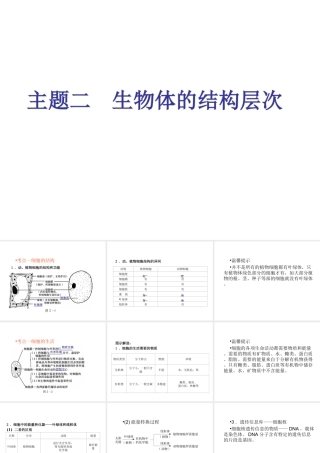 （回归基础） 2013届中考生物 考前查漏补缺《主题二 生物体的结构层次》（考前考点梳理）课件 新人教版