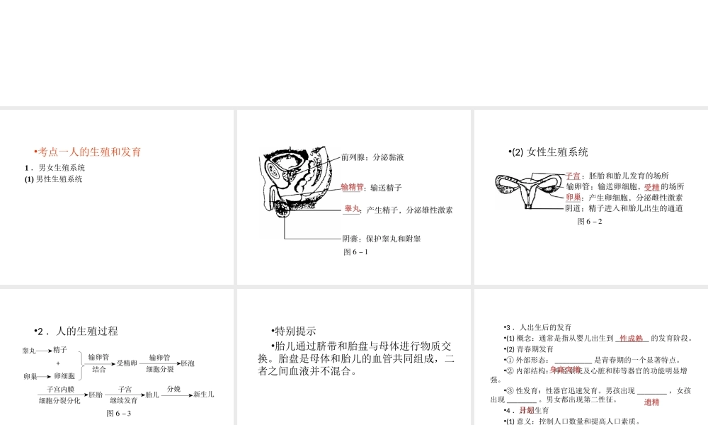（回归基础） 2013届中考生物 考前查漏补缺《主题六 生物的生殖、发育与遗传》（考前考点梳理）课件 新人教版