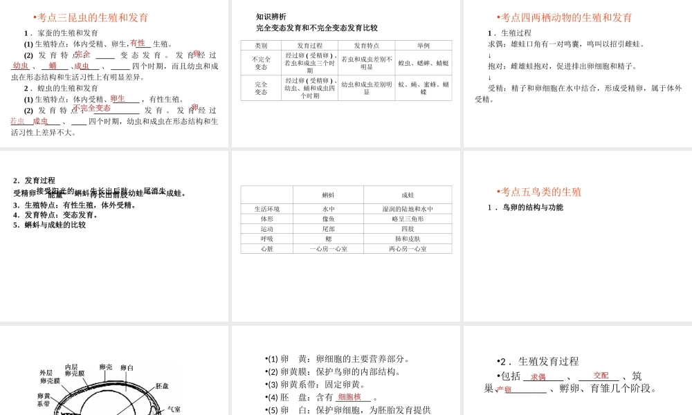 （回归基础） 2013届中考生物 考前查漏补缺《主题六 生物的生殖、发育与遗传》（考前考点梳理）课件 新人教版