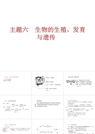 （回归基础） 2013届中考生物 考前查漏补缺《主题六 生物的生殖、发育与遗传》（考前考点梳理）课件 新人教版
