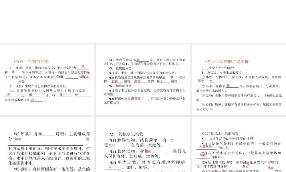（回归基础） 2013届中考生物 考前查漏补缺《主题七 生物的多样性 》（考前考点梳理）课件 新人教版