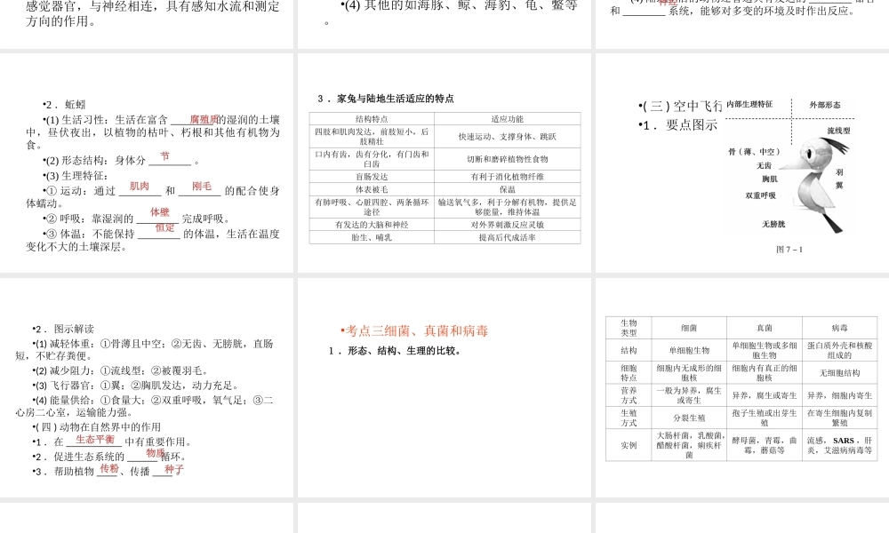 （回归基础） 2013届中考生物 考前查漏补缺《主题七 生物的多样性 》（考前考点梳理）课件 新人教版