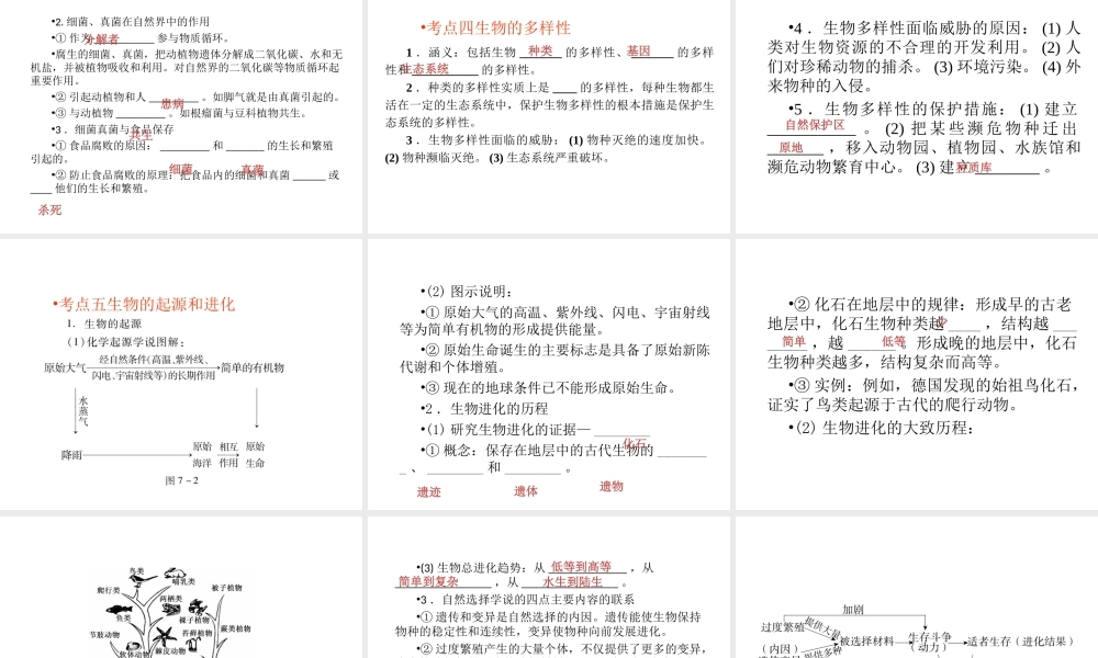 （回归基础） 2013届中考生物 考前查漏补缺《主题七 生物的多样性 》（考前考点梳理）课件 新人教版