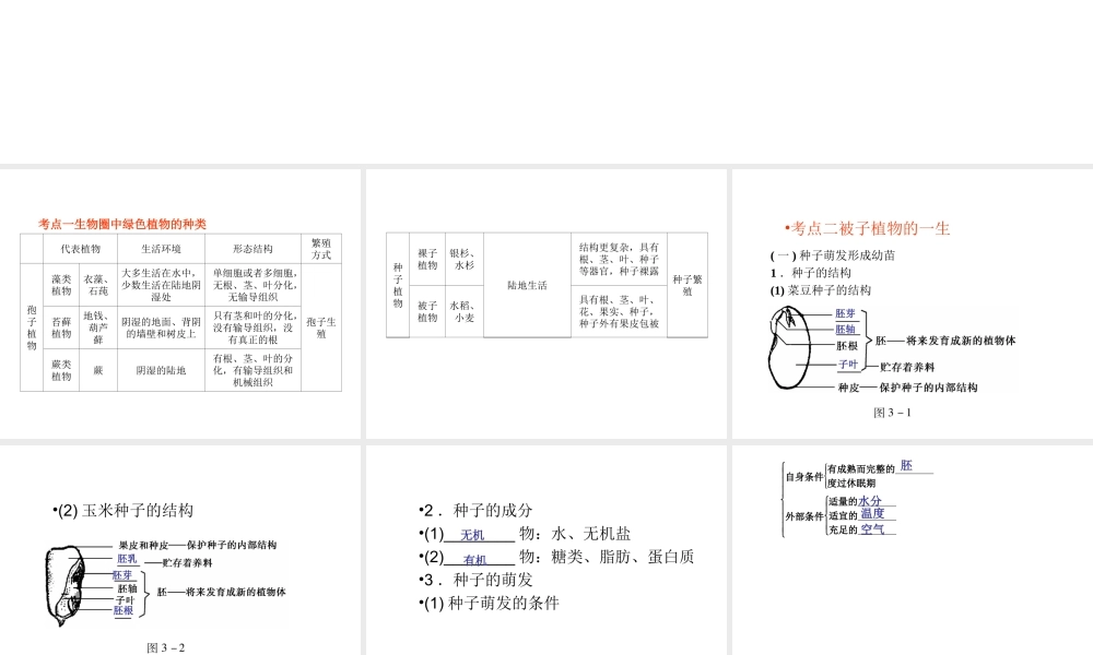 （回归基础） 2013届中考生物 考前查漏补缺《主题三 生物圈中的绿色植物 》（考前考点梳理）课件 新人教版