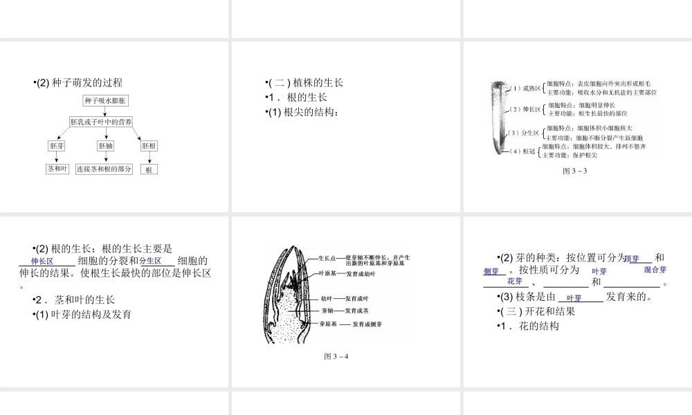 （回归基础） 2013届中考生物 考前查漏补缺《主题三 生物圈中的绿色植物 》（考前考点梳理）课件 新人教版