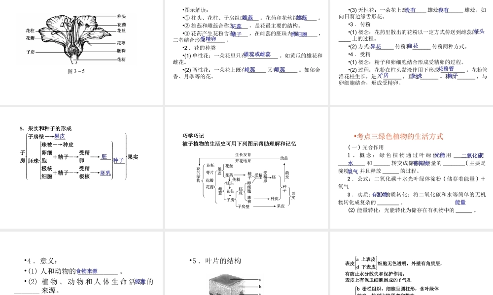 （回归基础） 2013届中考生物 考前查漏补缺《主题三 生物圈中的绿色植物 》（考前考点梳理）课件 新人教版