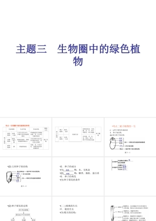 （回归基础） 2013届中考生物 考前查漏补缺《主题三 生物圈中的绿色植物 》（考前考点梳理）课件 新人教版