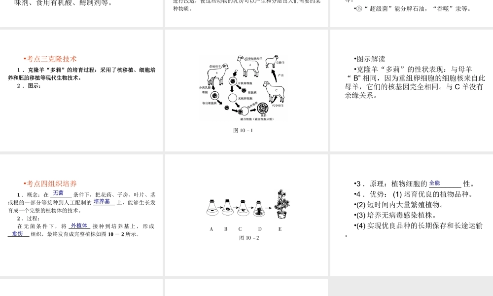 （回归基础） 2013届中考生物 考前查漏补缺《主题十 生物技术》（考前考点梳理）课件 新人教版