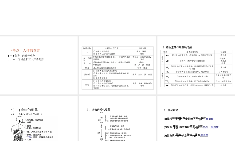（回归基础） 2013届中考生物 考前查漏补缺《主题四 生物圈中的人》（考前考点梳理）课件 新人教版