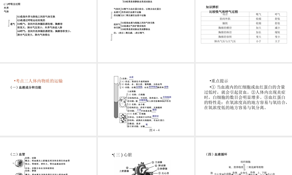 （回归基础） 2013届中考生物 考前查漏补缺《主题四 生物圈中的人》（考前考点梳理）课件 新人教版