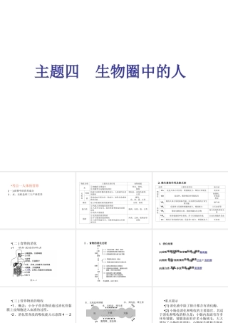 （回归基础） 2013届中考生物 考前查漏补缺《主题四 生物圈中的人》（考前考点梳理）课件 新人教版