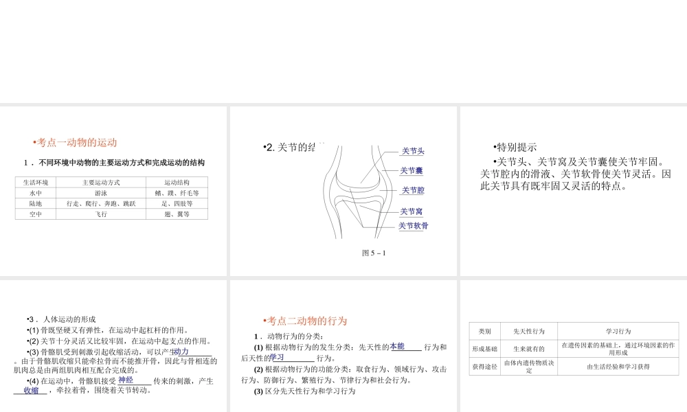 （回归基础） 2013届中考生物 考前查漏补缺《主题五 动物的运动和行为》（考前考点梳理）课件 新人教版