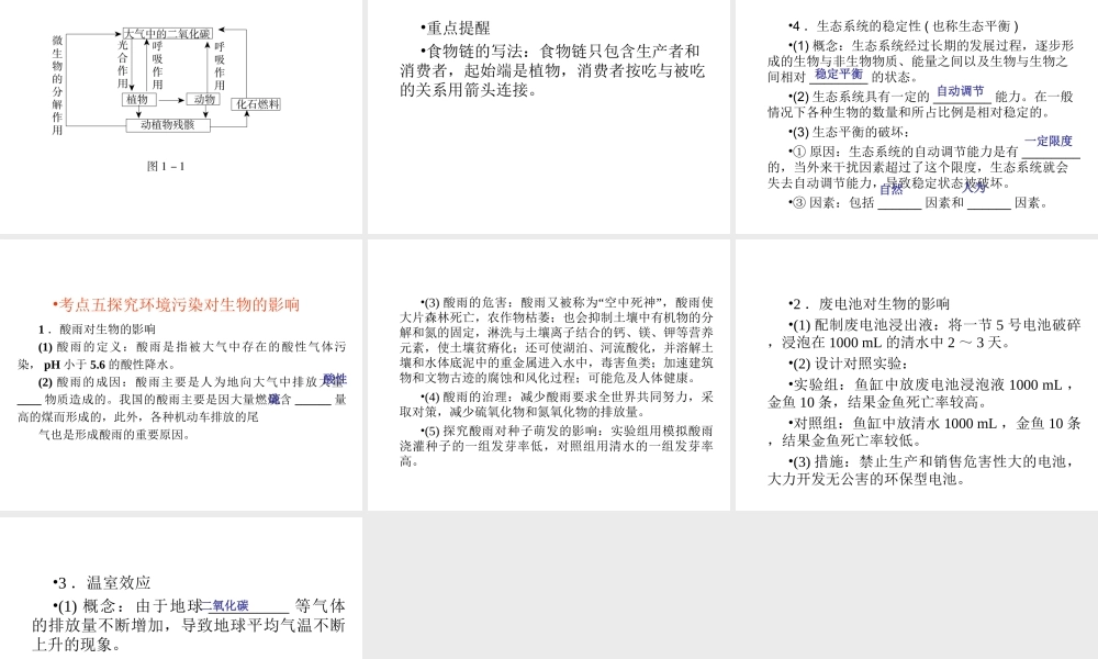 （回归基础） 2013届中考生物 考前查漏补缺《主题一 生物与环境》（考前考点梳理）课件 新人教版