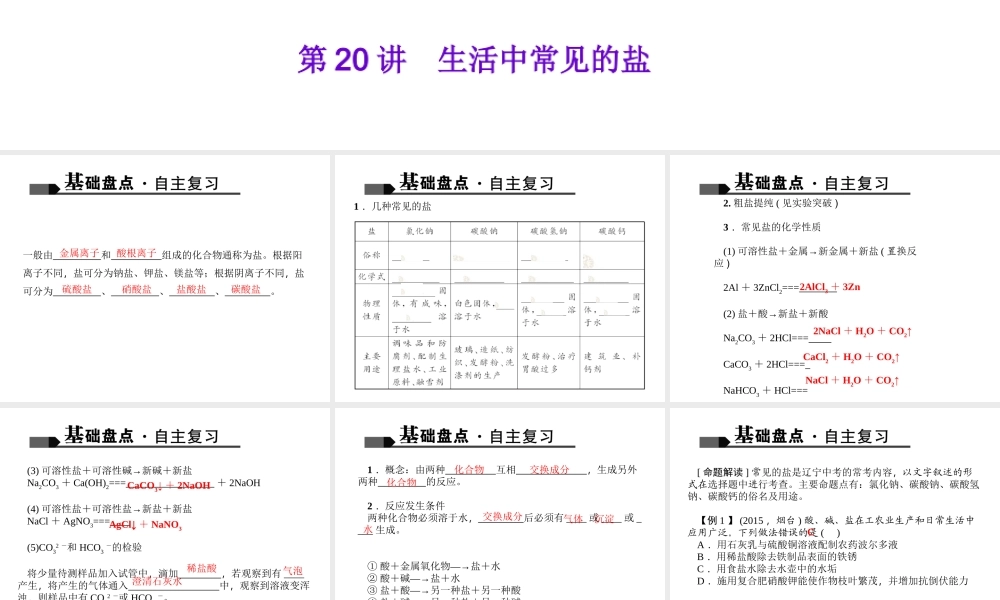 （全国版）中考化学 考点聚焦 第20讲 生活中常见的盐课件-人教版初中九年级全册化学课件