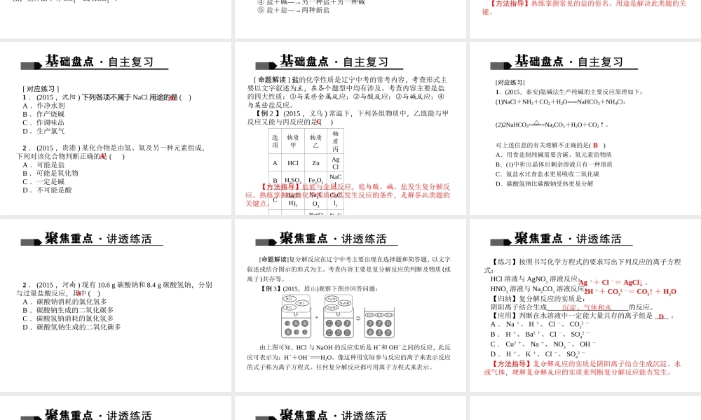 （全国版）中考化学 考点聚焦 第20讲 生活中常见的盐课件-人教版初中九年级全册化学课件