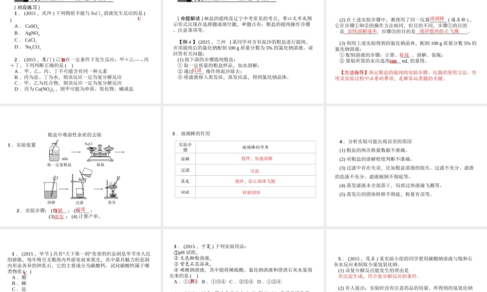 （全国版）中考化学 考点聚焦 第20讲 生活中常见的盐课件-人教版初中九年级全册化学课件