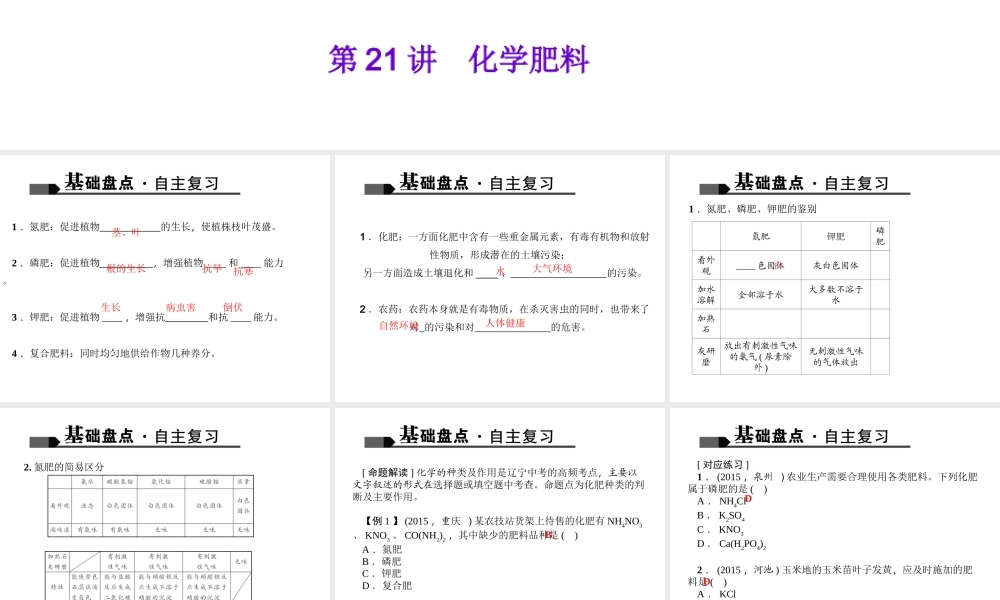 （全国版）中考化学 考点聚焦 第21讲 化学肥料课件-人教版初中九年级全册化学课件