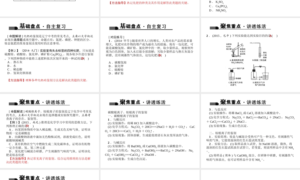 （全国版）中考化学 考点聚焦 第21讲 化学肥料课件-人教版初中九年级全册化学课件