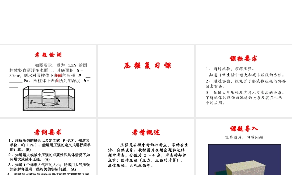 安徽省岳西县中考物理专题复习 压强课件-人教版初中九年级全册物理课件