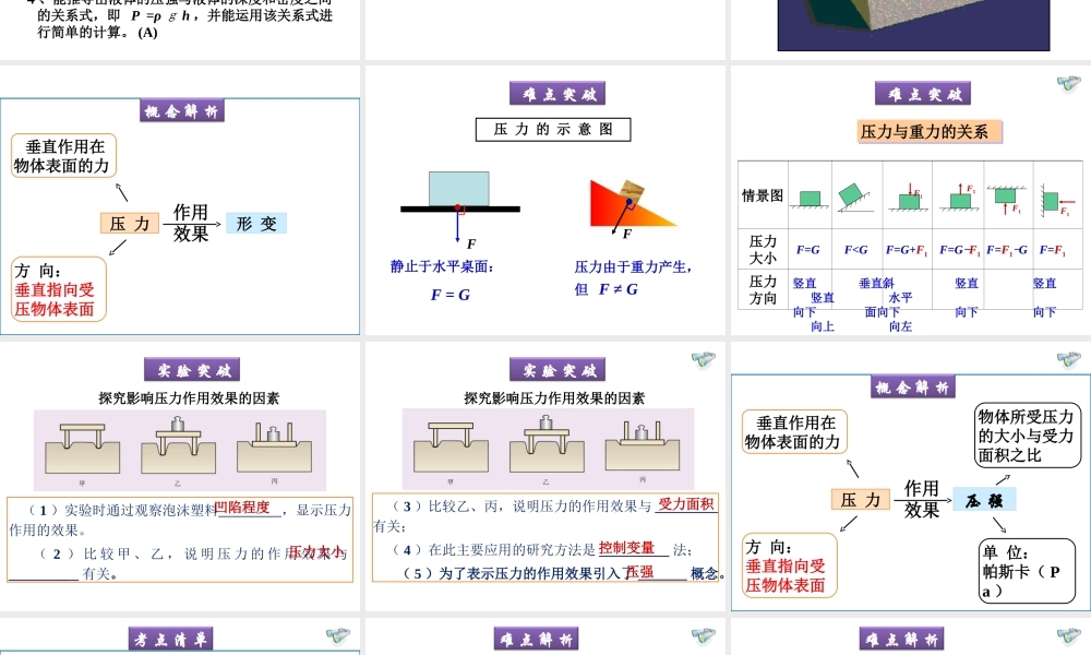安徽省岳西县中考物理专题复习 压强课件-人教版初中九年级全册物理课件
