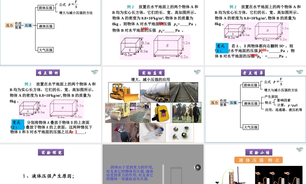 安徽省岳西县中考物理专题复习 压强课件-人教版初中九年级全册物理课件