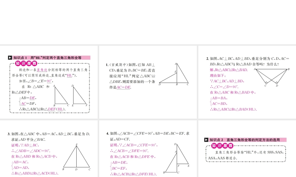 （云南专级数学上册 12.2 三角形全等的判定 第4课时 三角形全等的判定（四）HL作业课件 （新版）新人教版-（新版）新人教级上册数学课件