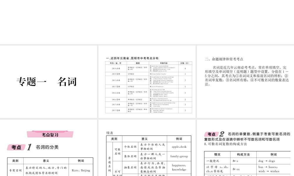 （云南专版）中考英语特训复习 第2编 语法专题突破篇 专题1 名词课件-人教版初中九年级全册英语课件