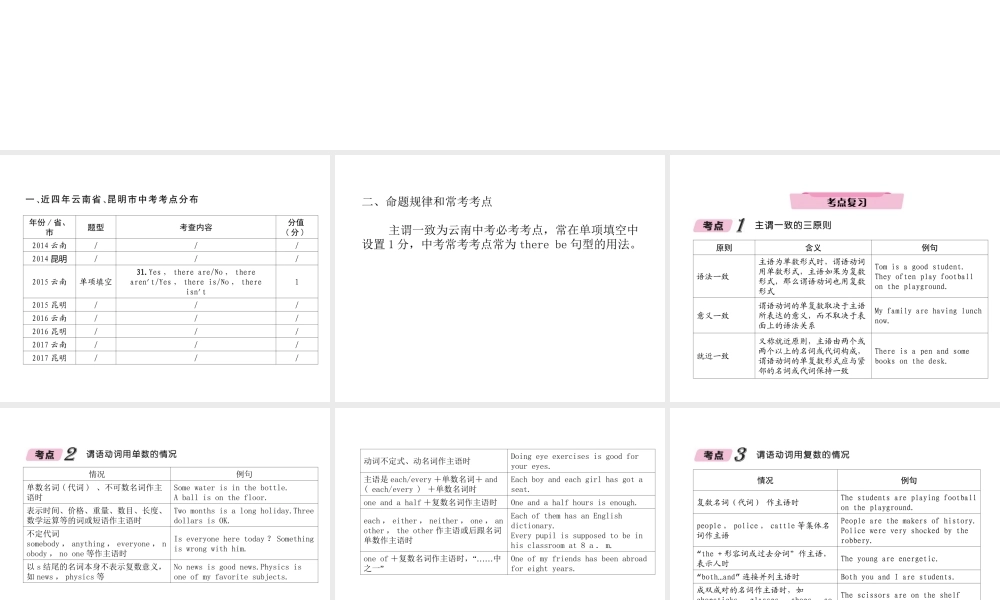 （云南专版）中考英语特训复习 第2编 语法专题突破篇 专题11 主谓一致课件-人教版初中九年级全册英语课件