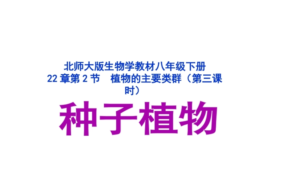 安阳市第七中学八年级生物下册 第22章 种子植物说课课件 北师大版