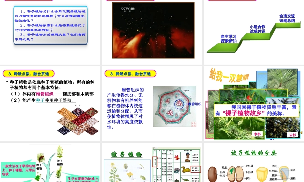 安阳市第七中学八年级生物下册 第22章 种子植物说课课件 北师大版