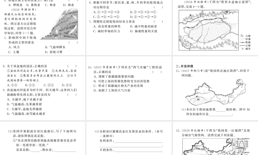 （人教版通用）中考地理一轮复习 八下 第八章 西北地区知识梳理课件-人教版初中九年级全册地理课件