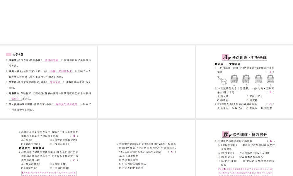 （全国版）九年级历史下册 第八单元 现代科学技术和文化 18 现代文学和美术练习课件 新人教版-新人教版初中九年级下册历史课件