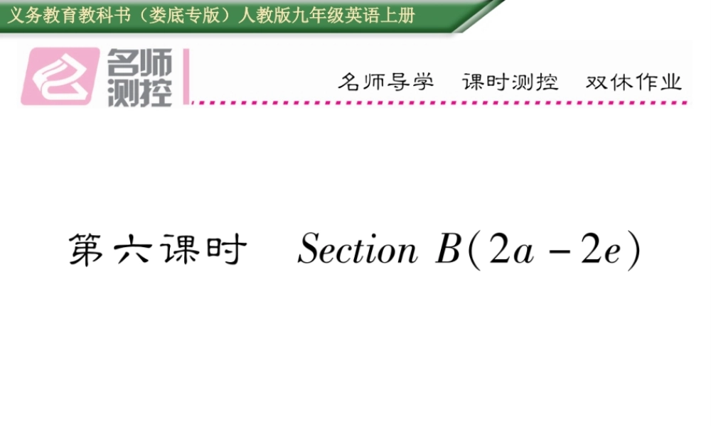 （娄底专版）秋九年级英语全册 Unit 5 What are the shirts made of（第6课时）课件 （新版）人教新目标版-（新版）人教新目标版初中九年级全册英语课件