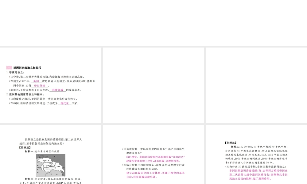 （全国版）九年级历史下册 第六单元 亚非拉国家的独立于振兴 12 亚非拉的奋起练习课件 新人教版-新人教版初中九年级下册历史课件
