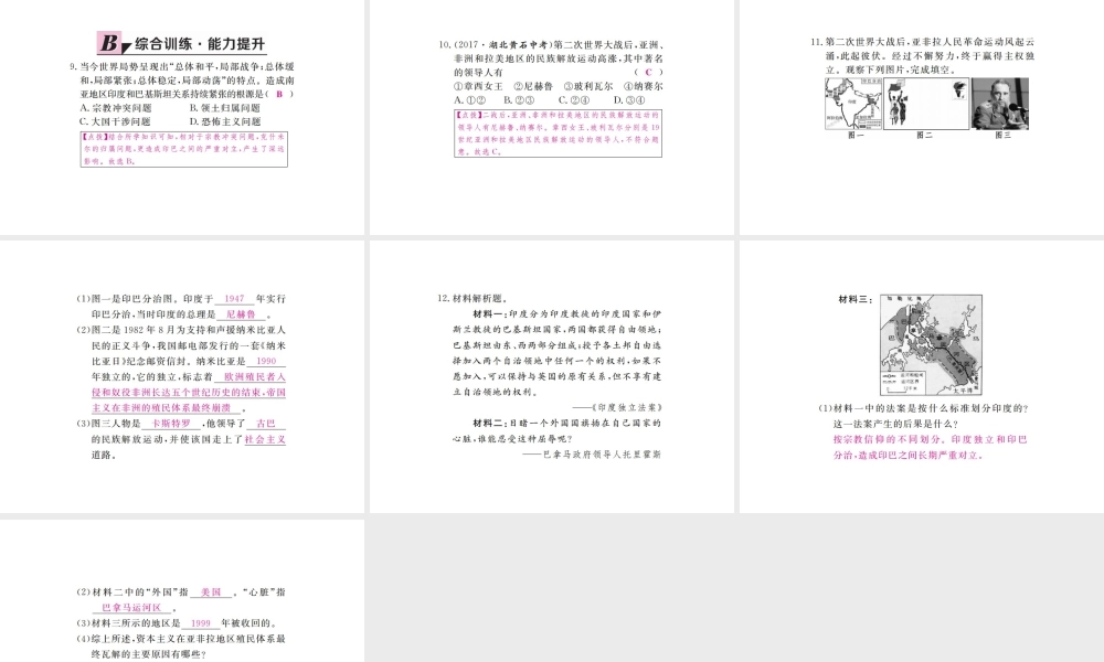 （全国版）九年级历史下册 第六单元 亚非拉国家的独立于振兴 12 亚非拉的奋起练习课件 新人教版-新人教版初中九年级下册历史课件