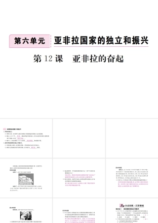 （全国版）九年级历史下册 第六单元 亚非拉国家的独立于振兴 12 亚非拉的奋起练习课件 新人教版-新人教版初中九年级下册历史课件