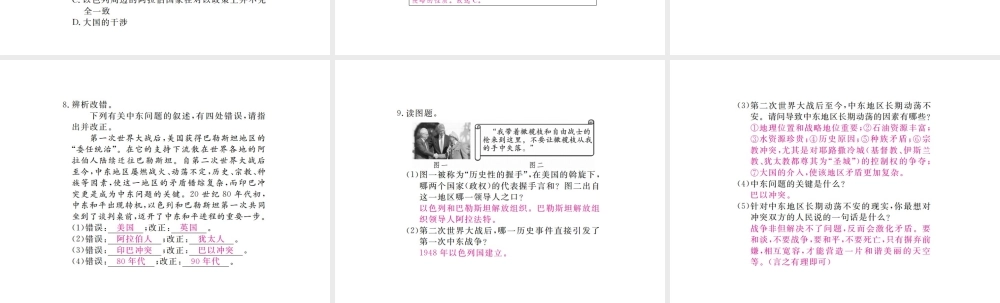 （全国版）九年级历史下册 第六单元 亚非拉国家的独立于振兴 13 动荡的中东地区练习课件 新人教版-新人教版初中九年级下册历史课件