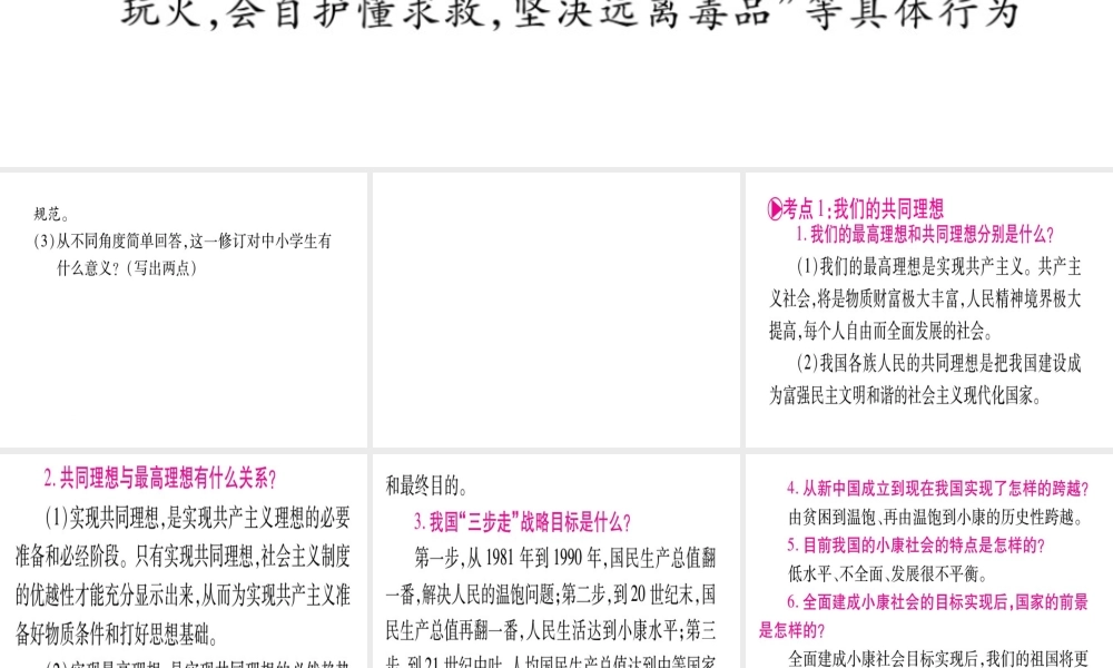 （三省通用）中考政治总复习课件 人民版-人民版初中九年级全册政治课件