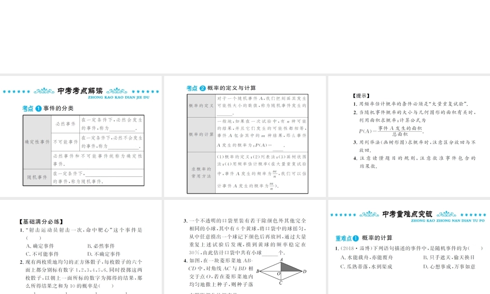 （三洲版）中考数学总复习 第八章 统计与概率 第二节 概率课件-人教级全册数学课件