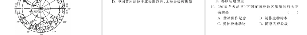 （人教版通用）中考地理一轮复习 七下 第十章 极地地区知识梳理课件-人教版初中九年级全册地理课件